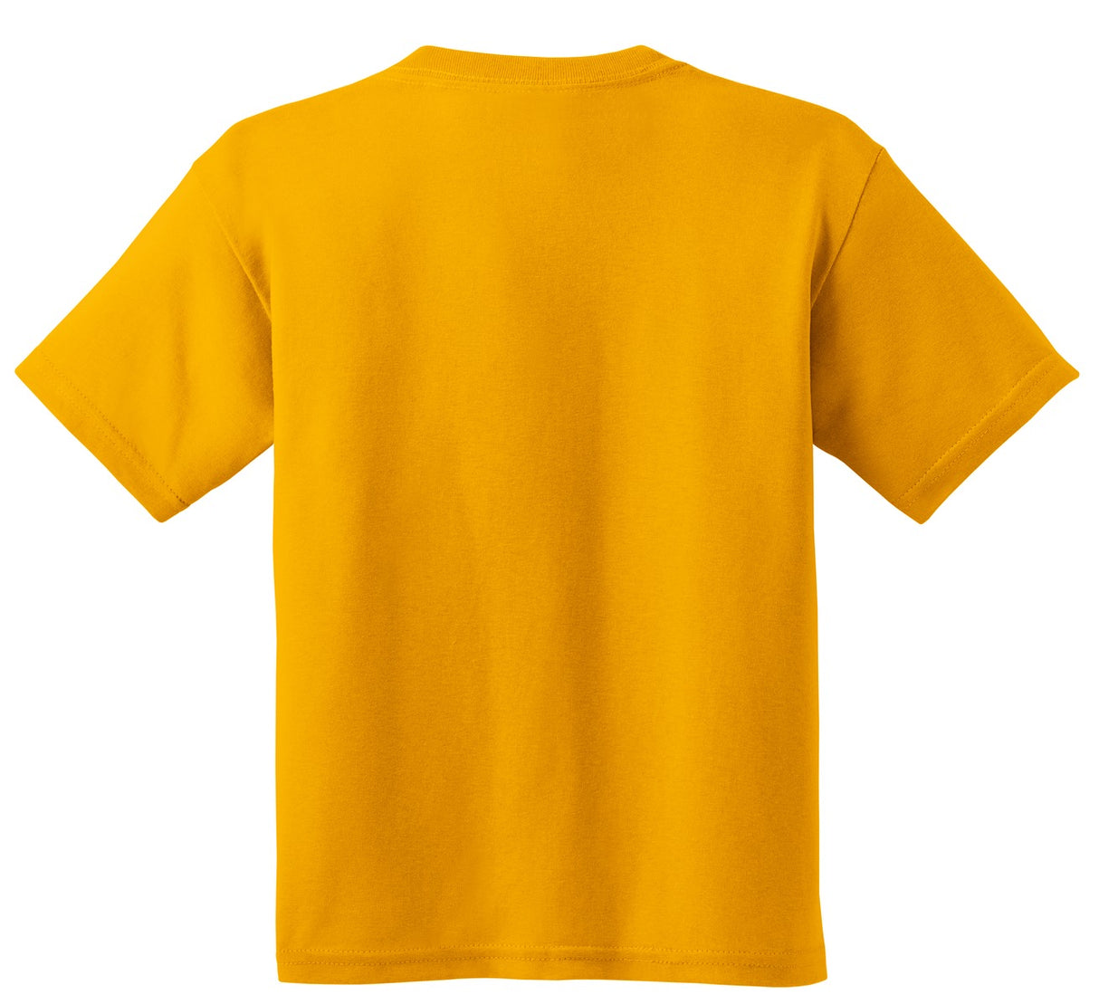 Gildan Youth Heavy Cotton 100% Cotton T-Shirt 5000B