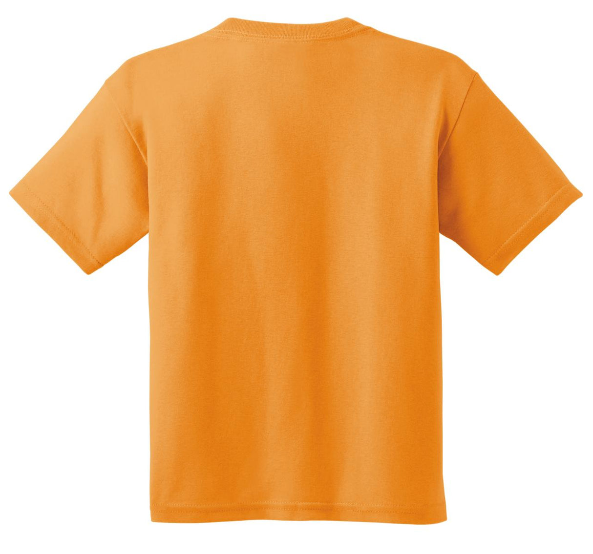 Gildan Youth Heavy Cotton 100% Cotton T-Shirt 5000B