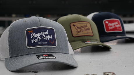 How to Build a Company Apparel Program That Employees Actually Wear
