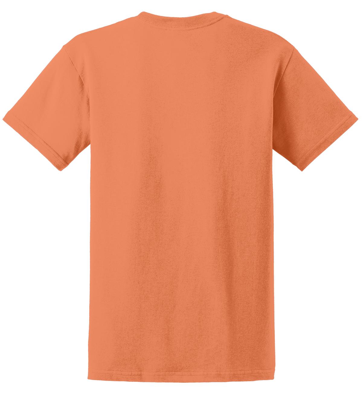 Gildan Ultra Cotton 100% US Cotton T-Shirt 2000