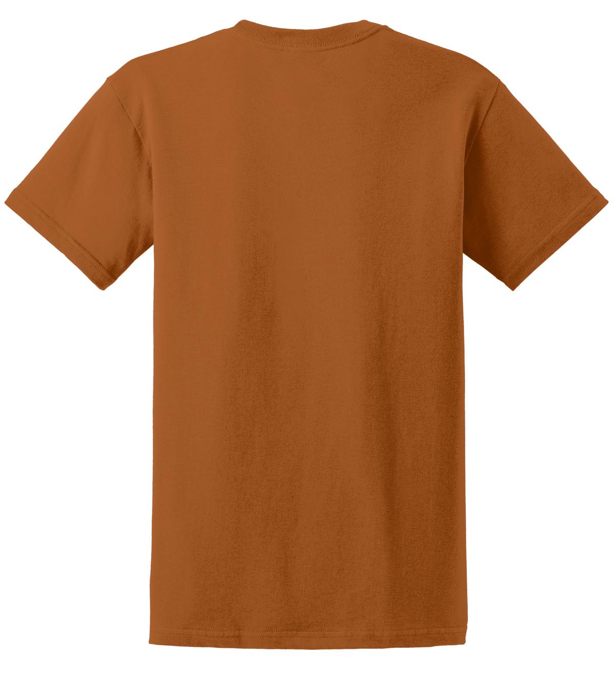 Gildan Ultra Cotton 100% US Cotton T-Shirt 2000