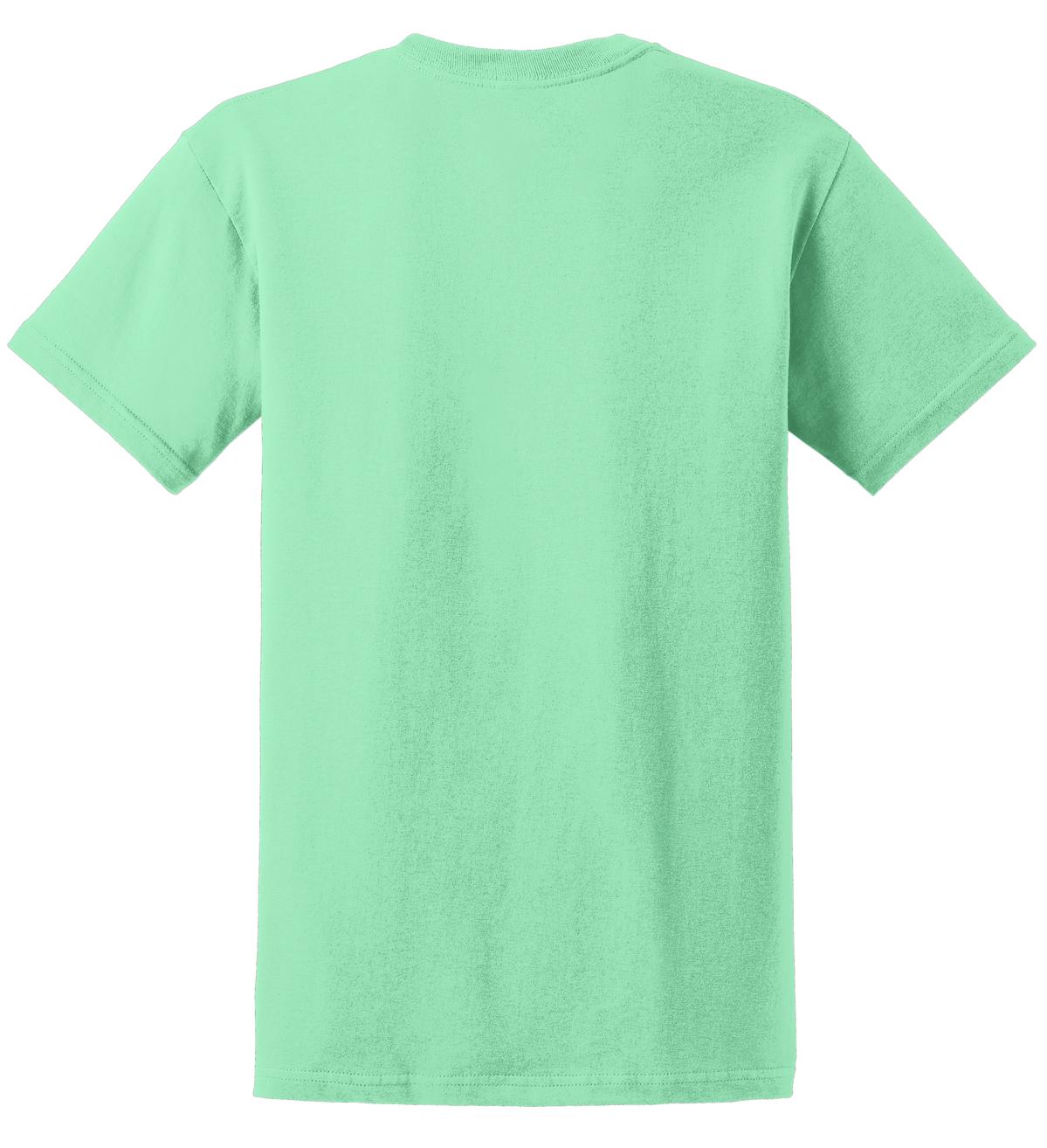Gildan Ultra Cotton 100% US Cotton T-Shirt 2000