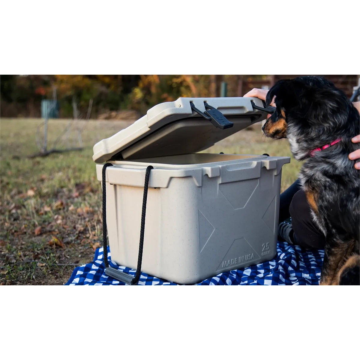 25 QT Bison Cooler