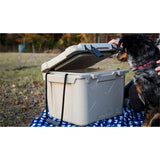 25 QT Bison Cooler
