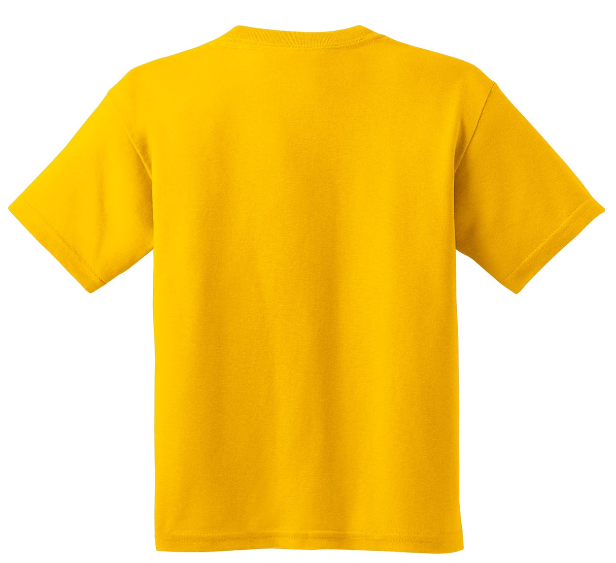 Gildan Youth  Heavy Cotton 100% Cotton T-Shirt 5000B