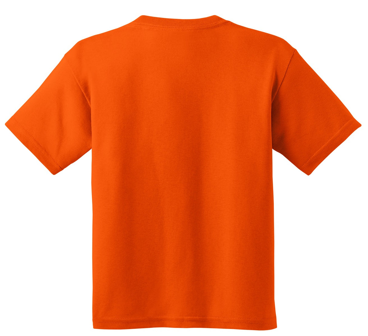 Gildan Youth  Heavy Cotton 100% Cotton T-Shirt 5000B