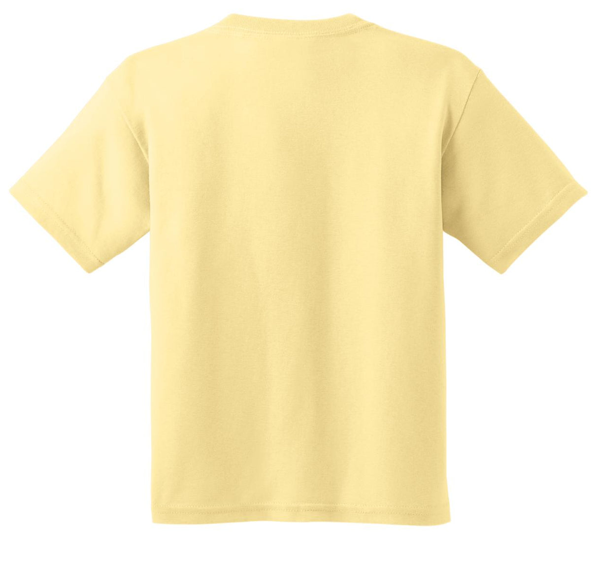 Gildan Youth  Heavy Cotton 100% Cotton T-Shirt 5000B