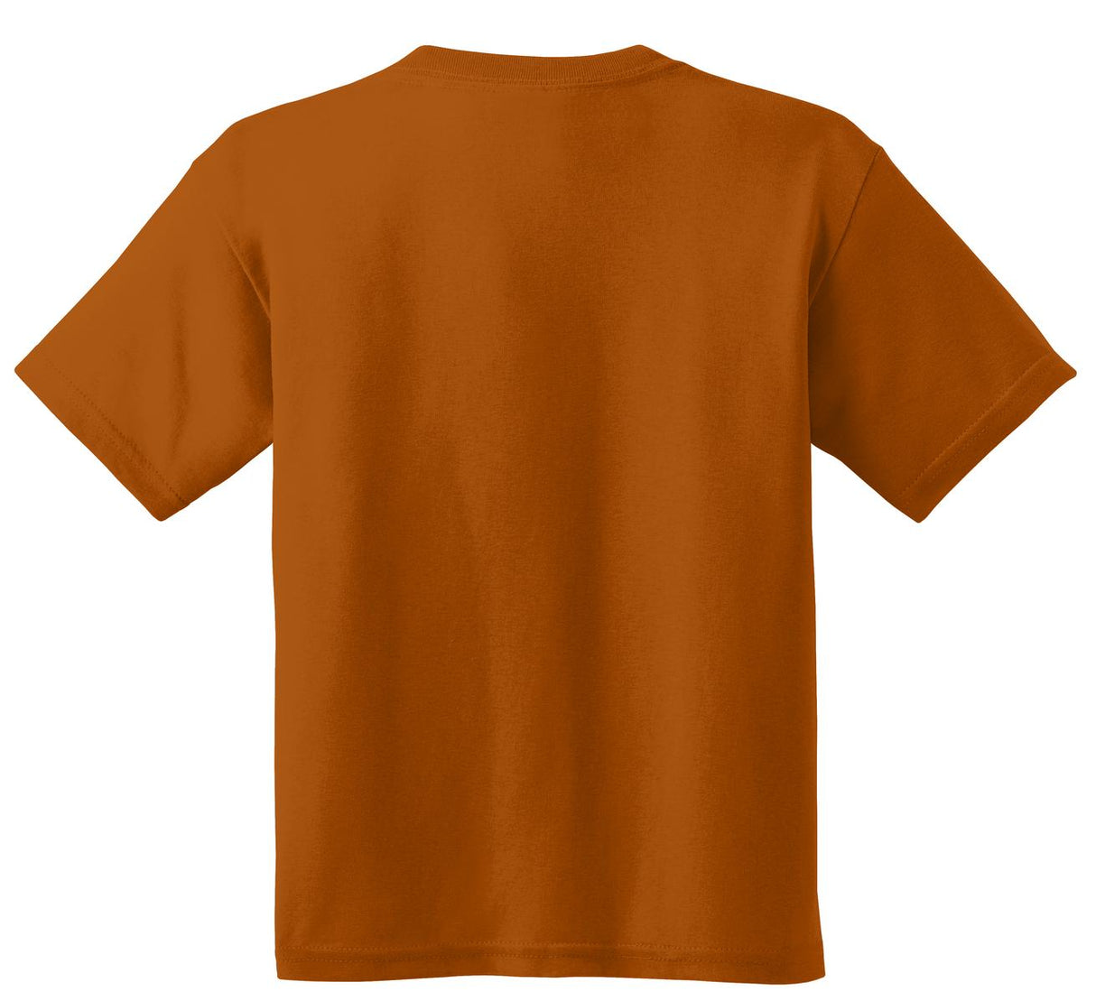 Gildan Youth  Heavy Cotton 100% Cotton T-Shirt 5000B