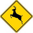 Yellow warning sign with black silhouette of a deer on a white background