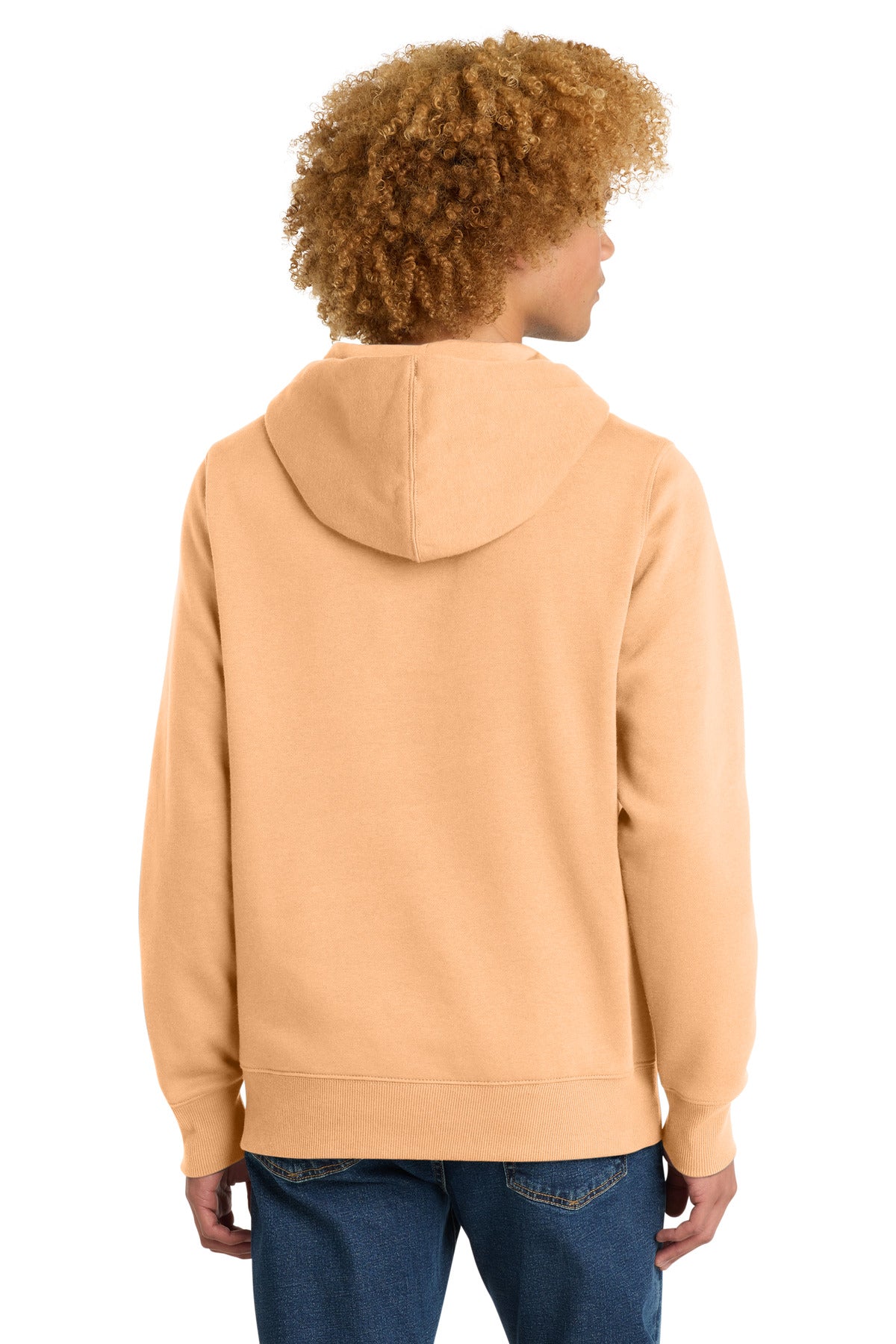 District Perfect Weight  Fleece Hoodie DT1101