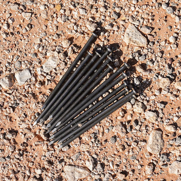 Marking Whisker Nails
